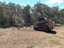 Land Clearing/Tree Stump Removal