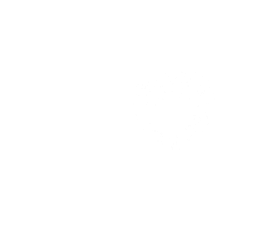 Untitled design (12)_edited.png