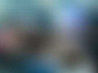  Case Study Deep Dive (Lighthouse Partners)