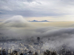 Colombia, COP26 y el futuro de la humanidad: ¿estará la comunidad internacional a la altura?