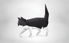 Paper Cat