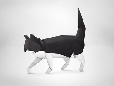 Kağıttan Kedi Bile Yaparız :)