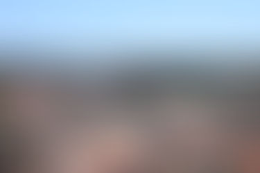 Quase 200 mil pessoas visitaram o Mosteiro de Alcobaça em 2024