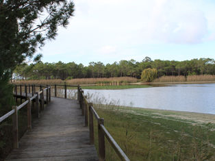 Lagoa de Pataias: um passeio pela natureza