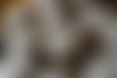 A Pastelaria O Mosteiro (Lorvão) arrecadou o prémio de "Melhor Doce Conventual" com as tradicionais Nevadas, numa edição da Mostra Internacional de Doces & Licores Conventuais que premiou também a Pastelaria Rebelo, as Monjas Cistercienses de Rio Caldo e o Mosteiro de São Bento de Singeverga.