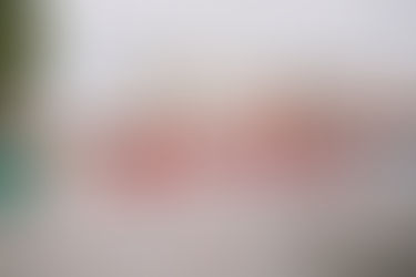 Organização cancelou edição de 2026 na sequência dos danos causados pela tempestade Kristin