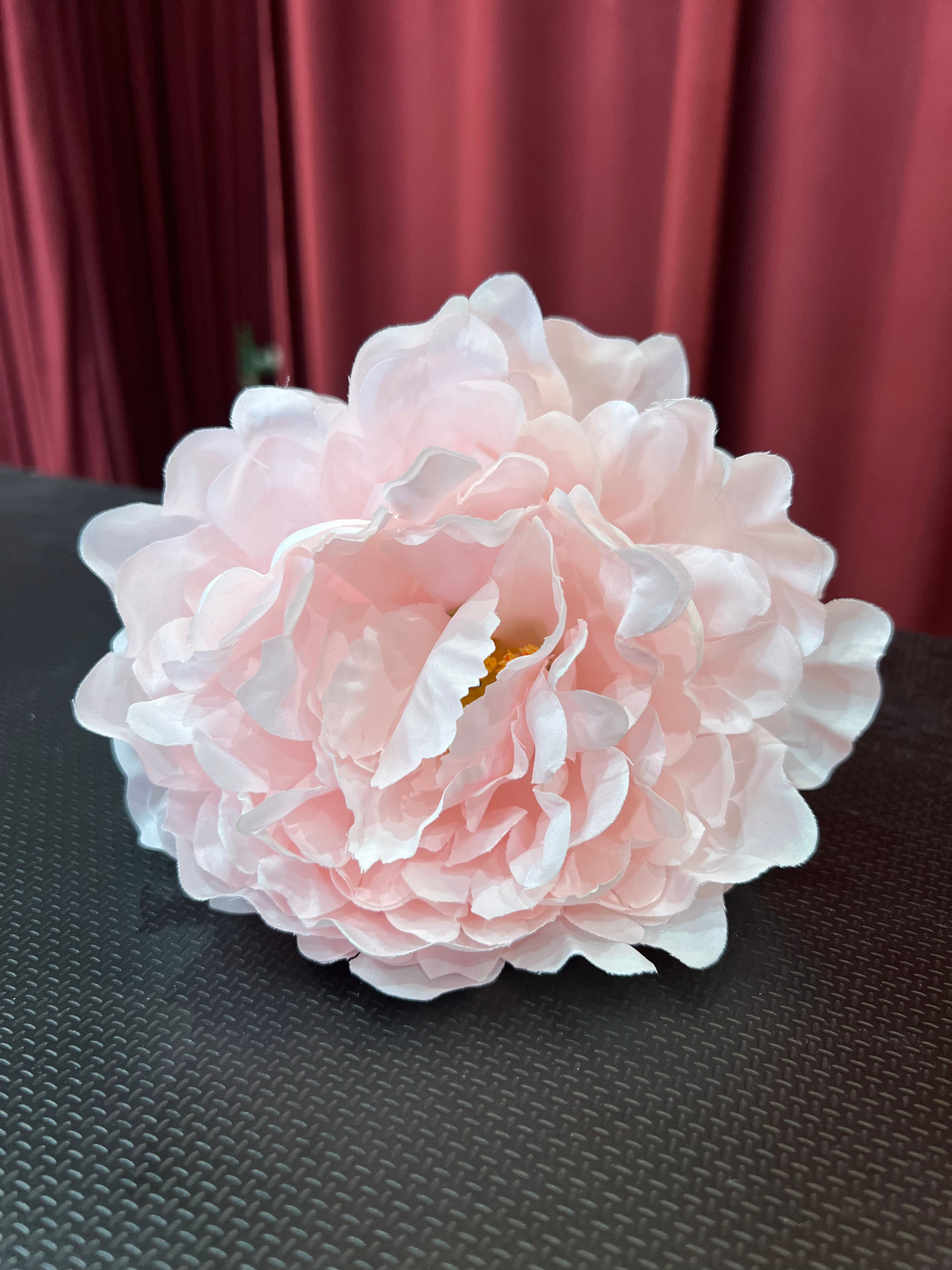Peonia Jerez 