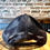 Thumbnail: FTC Hat