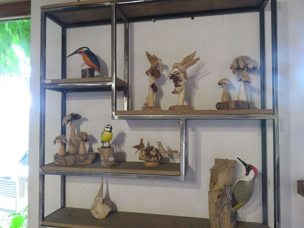 Thumbnail: vogeltjes