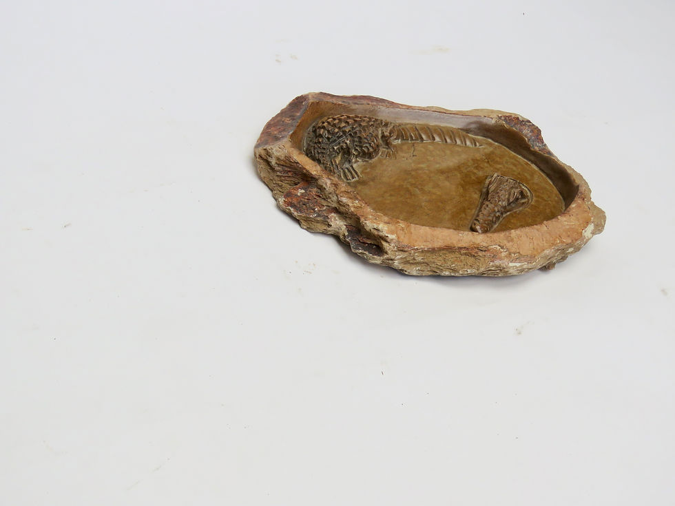 Thumbnail: Waterbad Krokodil