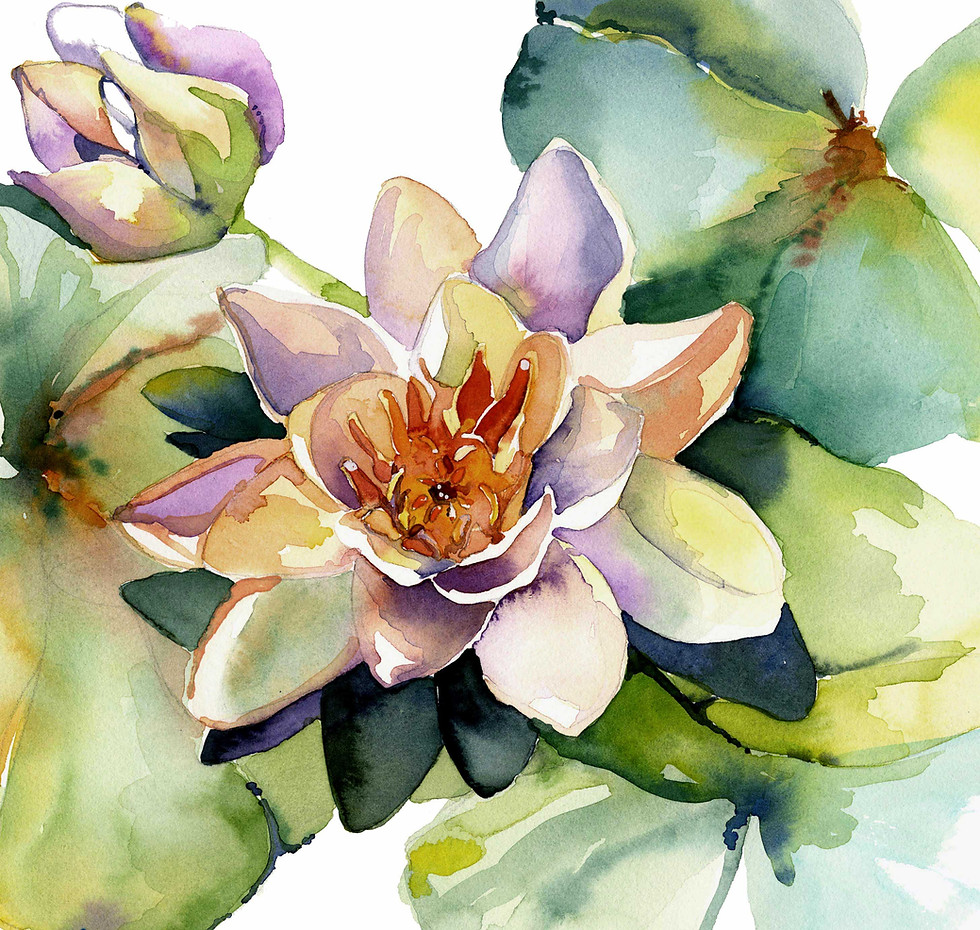 Thumbnail: Water Lilies  Print
