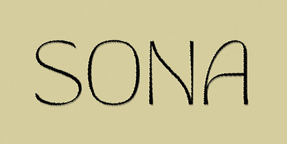SONA Logo with Texture.jpg