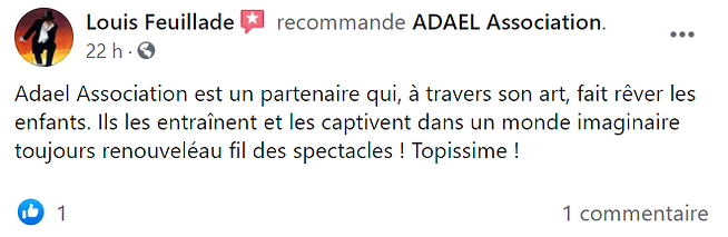 avis facebook Feuillade.png