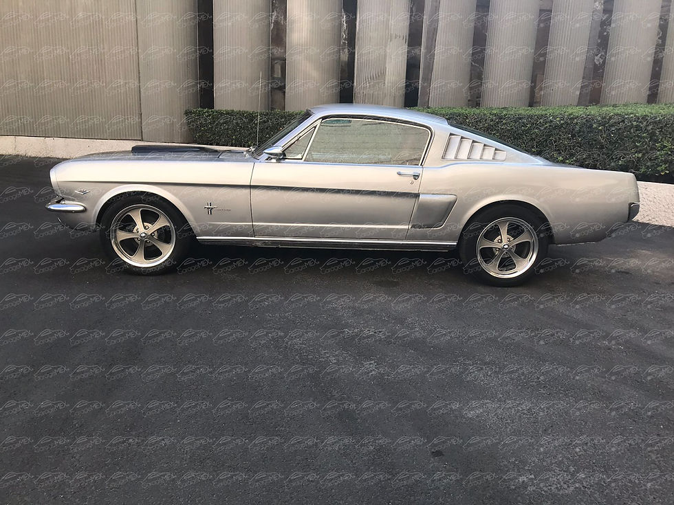 Miniatura: Ford Mustang Fastback Tributo Shelby 1965