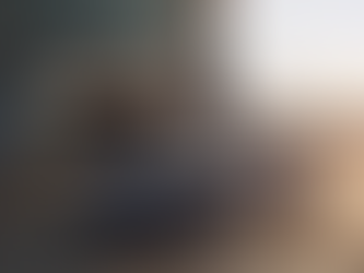 El exclusivo 911 Carrera Panamericana Special de Porsche será subastado en México