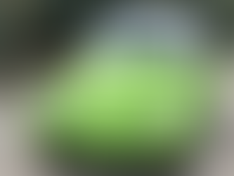 Vocho Taxi de la Ciudad de México fue vendido por más de...!!!