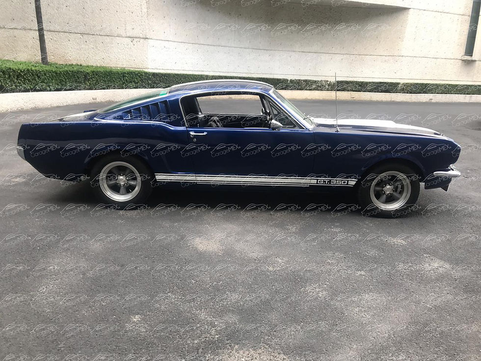 Miniatura: Ford Mustang Fastback 2+2 (1965)
