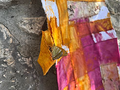IMG_8943.JPG