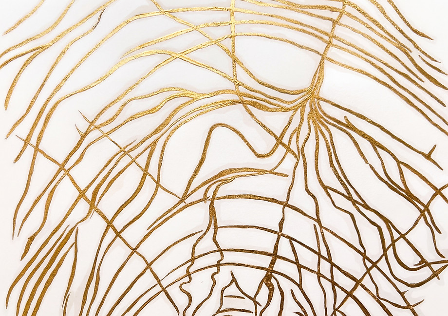 Generated Image March 11, 2026 - 6_46PM.jpeg