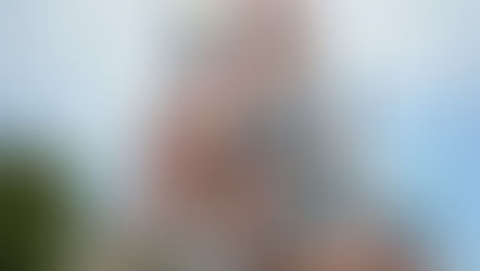 Disneyland Paris Castle