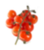 shutterstock_4435909