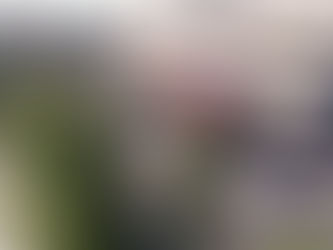 Nuevos Partidos recibirán financiamiento público a partir del mes de julio