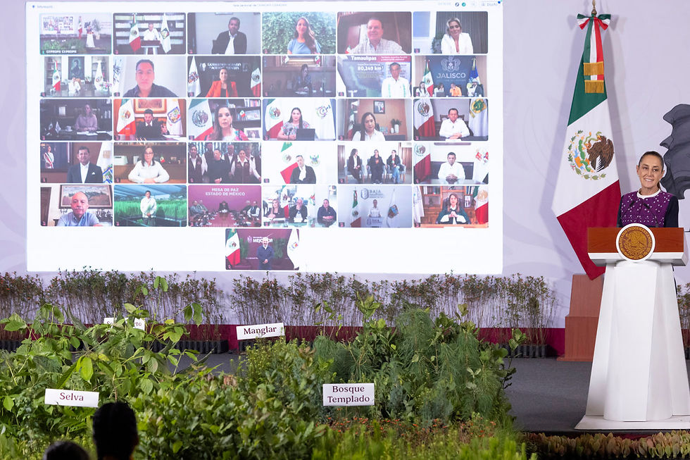 Alicia Bárcena detalla la Jornada Nacional de Reforestación 2026