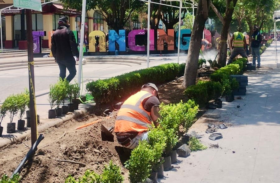 Se sumó Tulancingo a la Jornada Nacional de Reforestación 2026