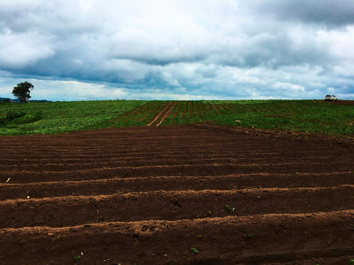 Firman la Saderh y Chapingo convenio de análisis de suelos agrícolas