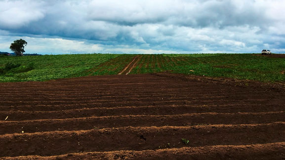 Firman la Saderh y Chapingo convenio de análisis de suelos agrícolas