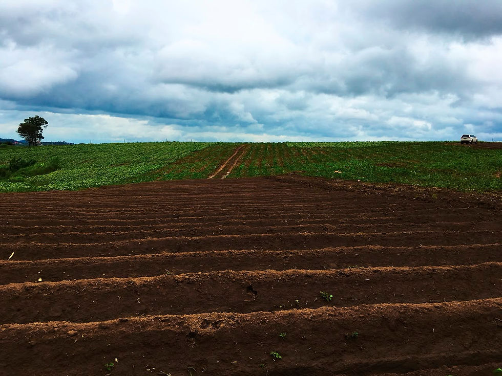 Firman la Saderh y Chapingo convenio de análisis de suelos agrícolas