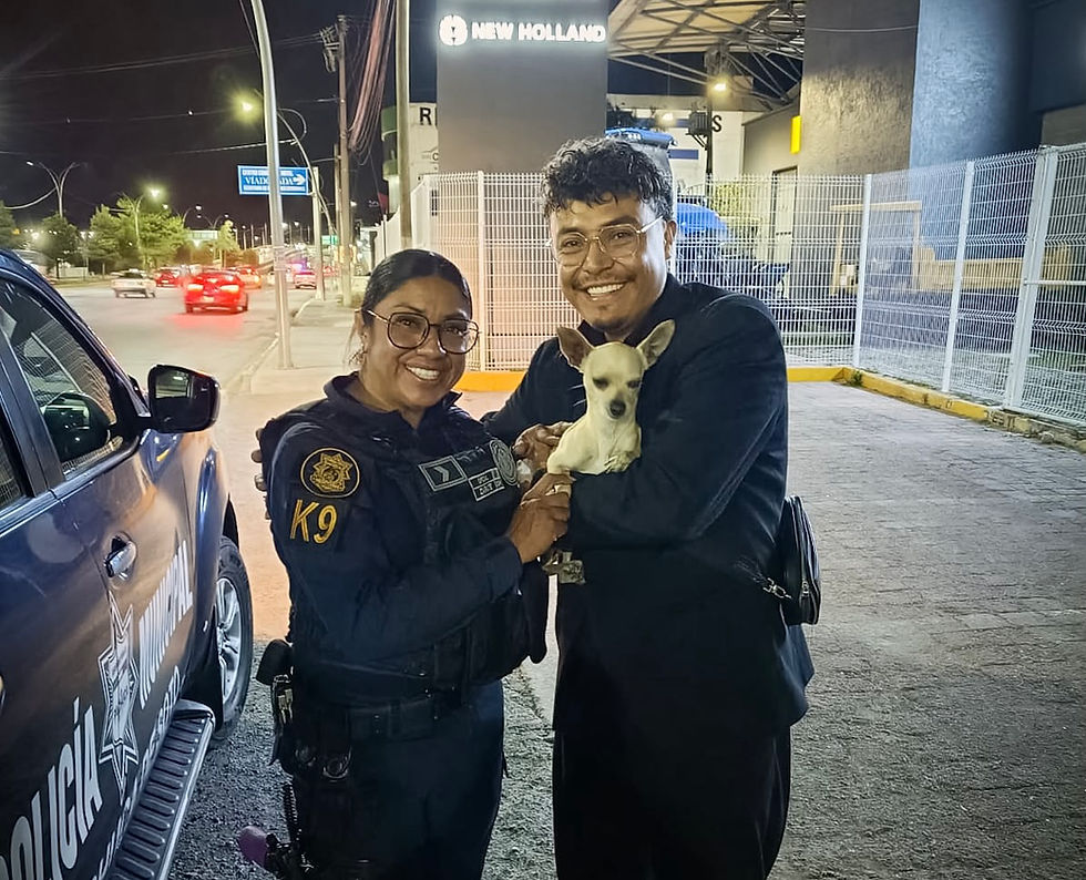 Rescata Unidad K9 de Pachuca a perro extraviado en bulevar