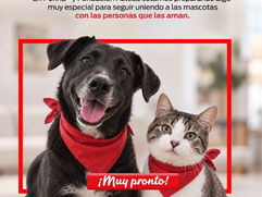 Lanzan Purina y Fundación Azteca la app “Huella Azteca”