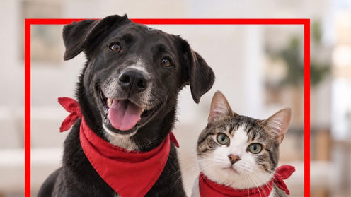 Lanzan Purina y Fundación Azteca la app “Huella Azteca”