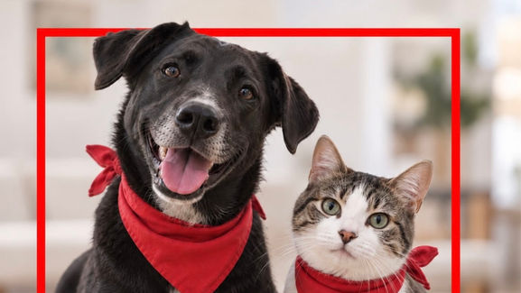Lanzan Purina y Fundación Azteca la app “Huella Azteca”