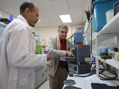 Obtiene UAEH patente para optimizar motores vehiculares con oxihidrógeno