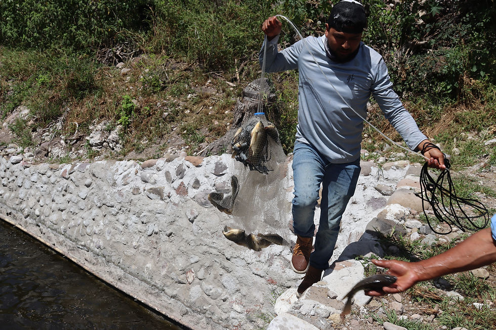 Fortalecen proyectos de familias migrantes con programa en Zimapán