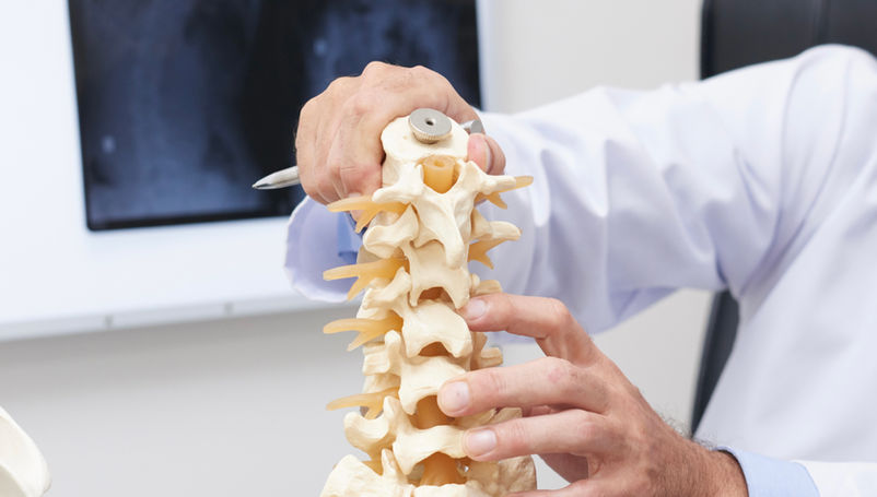 Promueve IMSS Hidalgo hábitos saludables para prevenir la osteoporosis