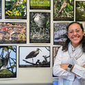 Documentan 47 especies de aves en la UAEH Tulancingo