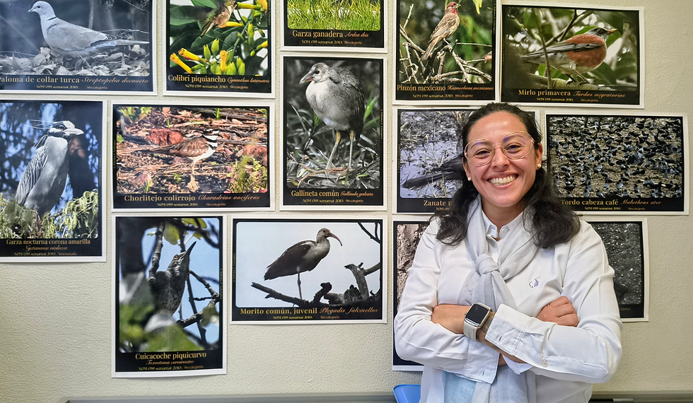 Documentan 47 especies de aves en la UAEH Tulancingo