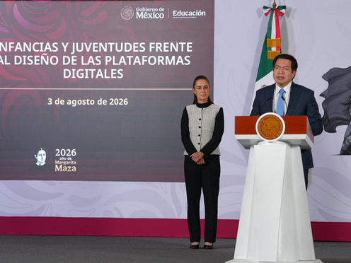 Advierta la SEP que las redes sociales son problema de salud pública