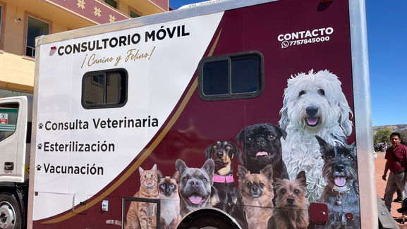 Médico veterinario atendiendo a un perro dentro de las instalaciones de Sanidad Municipal consultorio móvil.