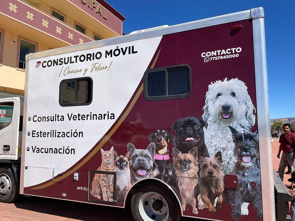 Sanidad Municipal consultorio móvil sumará consultas veterinarias