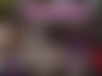 Tendencias en redes sociales: del Harlem Shake a farmear aura