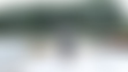 Inyectan 4 millones de pesos al campo, siembran 800 mil peces en Acaxochitlán