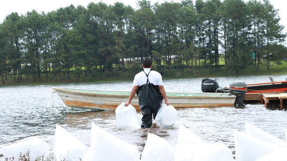 Inyectan 4 millones de pesos al campo, siembran 800 mil peces en Acaxochitlán