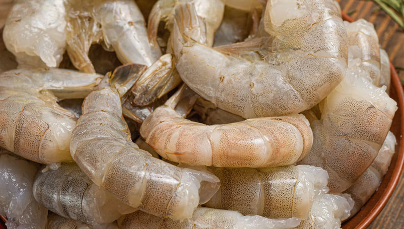 Autoridades de Conapesca y la Guardia Nacional inspeccionando cargamentos de mariscos para combatir el contrabando de camarón en México.