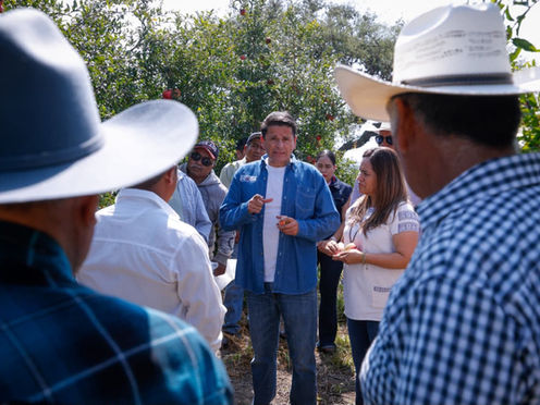 Plantea Cuauhtémoc Ochoa fortalecer la producción de granada