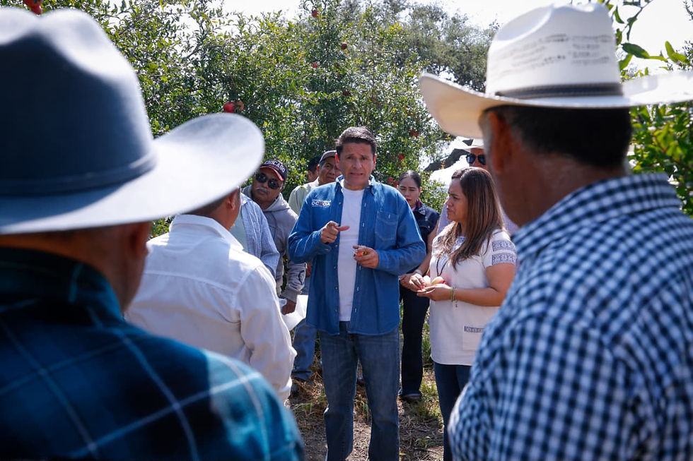 Plantea Cuauhtémoc Ochoa fortalecer la producción de granada
