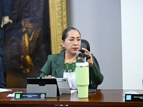 Exhortan a preservar las lenguas indígenas en Hidalgo